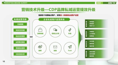 京东零售李捷 4个层面理解京东全域整合营销的升级 MBS 2021系列